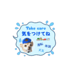アイ♡スムチー  アニメーション（個別スタンプ：10）