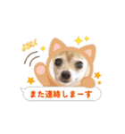 アイ♡スムチー  アニメーション（個別スタンプ：15）