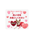 アイ♡スムチー  アニメーション（個別スタンプ：16）