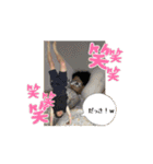 みんなだいすきぜっくん（個別スタンプ：12）