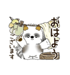 B＆W 動くシーズー犬 2025 「秋」（個別スタンプ：1）