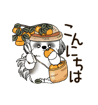 B＆W 動くシーズー犬 2025 「秋」（個別スタンプ：2）