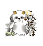 B＆W 動くシーズー犬 2025 「秋」（個別スタンプ：3）