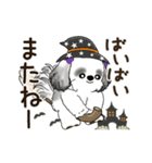B＆W 動くシーズー犬 2025 「秋」（個別スタンプ：4）