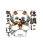 B＆W 動くシーズー犬 2025 「秋」（個別スタンプ：5）