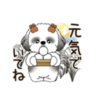 B＆W 動くシーズー犬 2025 「秋」（個別スタンプ：6）