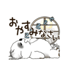 B＆W 動くシーズー犬 2025 「秋」（個別スタンプ：8）
