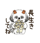 B＆W 動くシーズー犬 2025 「秋」（個別スタンプ：10）