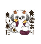 B＆W 動くシーズー犬 2025 「秋」（個別スタンプ：14）