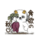 B＆W 動くシーズー犬 2025 「秋」（個別スタンプ：15）