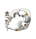 B＆W 動くシーズー犬 2025 「秋」（個別スタンプ：18）