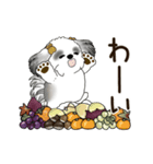 B＆W 動くシーズー犬 2025 「秋」（個別スタンプ：20）