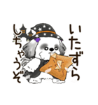 B＆W 動くシーズー犬 2025 「秋」（個別スタンプ：23）