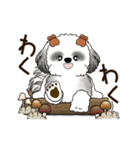 B＆W 動くシーズー犬 2025 「秋」（個別スタンプ：24）