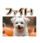 飛び出す★秋を感じるマルチーズ＿日常（個別スタンプ：16）
