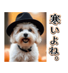 飛び出す★秋を感じるマルチーズ＿日常（個別スタンプ：22）