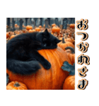 飛び出す★秋を感じる・黒猫＿挨拶・日常（個別スタンプ：7）