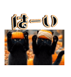 飛び出す★秋を感じる・黒猫＿挨拶・日常（個別スタンプ：9）