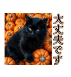 飛び出す★秋を感じる・黒猫＿挨拶・日常（個別スタンプ：11）