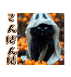 飛び出す★秋を感じる・黒猫＿挨拶・日常（個別スタンプ：14）
