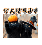 飛び出す★秋を感じる・黒猫＿挨拶・日常（個別スタンプ：20）