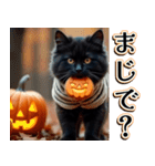 飛び出す★秋を感じる・黒猫＿挨拶・日常（個別スタンプ：21）