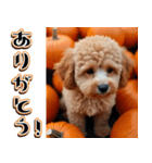 飛び出す★秋を感じるトイプードル（個別スタンプ：3）