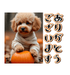 飛び出す★秋を感じるトイプードル（個別スタンプ：4）