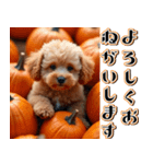 飛び出す★秋を感じるトイプードル（個別スタンプ：6）