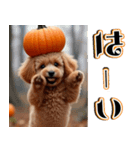 飛び出す★秋を感じるトイプードル（個別スタンプ：9）