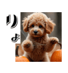 飛び出す★秋を感じるトイプードル（個別スタンプ：11）