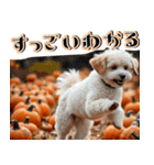 飛び出す★秋を感じるトイプードル（個別スタンプ：12）