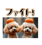 飛び出す★秋を感じるトイプードル（個別スタンプ：16）