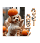 飛び出す★秋を感じるトイプードル（個別スタンプ：17）