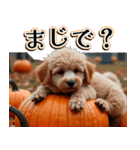 飛び出す★秋を感じるトイプードル（個別スタンプ：21）