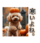 飛び出す★秋を感じるトイプードル（個別スタンプ：22）