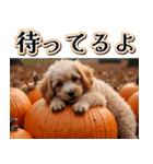 飛び出す★秋を感じるトイプードル（個別スタンプ：23）