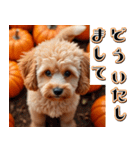 飛び出す★秋を感じるトイプードル（個別スタンプ：24）