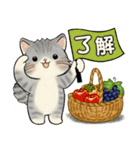 笑顔を運ぶ猫たち ♡ほっこり秋（個別スタンプ：1）