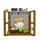 笑顔を運ぶ猫たち ♡ほっこり秋（個別スタンプ：10）