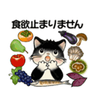 笑顔を運ぶ猫たち ♡ほっこり秋（個別スタンプ：13）