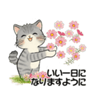 笑顔を運ぶ猫たち ♡ほっこり秋（個別スタンプ：16）