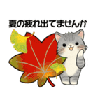 笑顔を運ぶ猫たち ♡ほっこり秋（個別スタンプ：17）