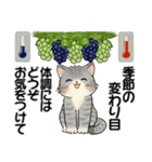 笑顔を運ぶ猫たち ♡ほっこり秋（個別スタンプ：20）