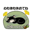 笑顔を運ぶ猫たち ♡ほっこり秋（個別スタンプ：24）