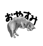 グレーの猫とよく使う言葉だけスタンプ（個別スタンプ：4）