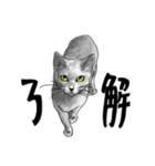 グレーの猫とよく使う言葉だけスタンプ（個別スタンプ：7）