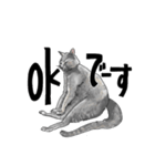 グレーの猫とよく使う言葉だけスタンプ（個別スタンプ：11）