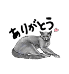 グレーの猫とよく使う言葉だけスタンプ（個別スタンプ：18）