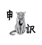 グレーの猫とよく使う言葉だけスタンプ（個別スタンプ：22）